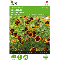 Buzzy Zaden cosmidium thelesperma brunette 0.5 gram - 