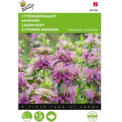 Buzzy Zaden monarda citroenbergamot 0.15g - 