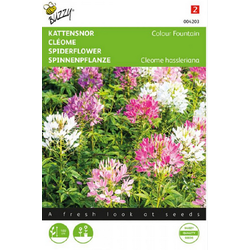 Buzzy Zaden rode sierpeen dara 0.1 gram - 
