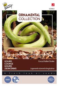 Buzzy Ornamental gourd italian edible cucuzi - 