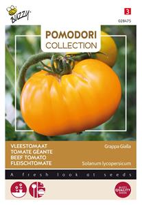Buzzy Pomodori grappa gialla - 