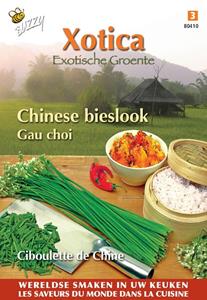 Buzzy Xotica chinese bieslook - 