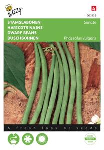 Buzzy Stamslabonen Sonate - 