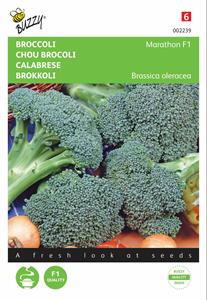Buzzy Broccoli Southern Comet F1 - 