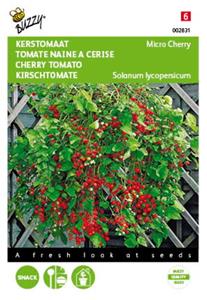 Buzzy Kerstomaat Micro Cherry Tuinplus - 