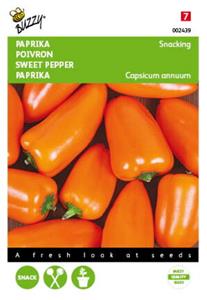 Buzzy Paprika Snacking mini Oranje Naranja - 