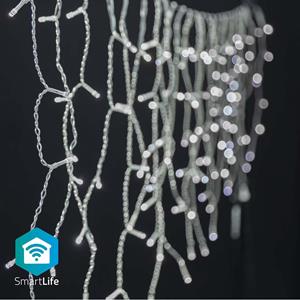 Nedis Lichtketting Binnen/buiten Energielabel: G (A - G) 400 Koudwit