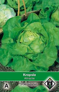 Van hemert co Kropsla Attractie - 