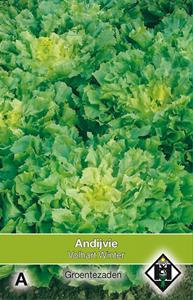 Van hemert co Andijvie Breedblad Volhart Winter - 