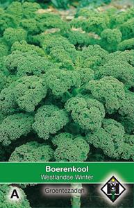 Van hemert co Boerenkool Westlandse Winter - 