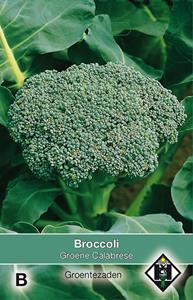 Van hemert co Broccoli Groene Calabrese - 
