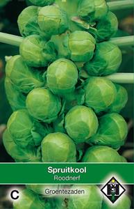 Van hemert co Spruitkool Roodnerf - 