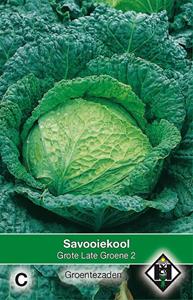 Van hemert co Savooie kool Grote Late Groene 2 - 