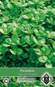 Van hemert co Postelein Gewone Groene - 