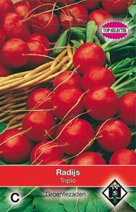 Van hemert co Radijs Raxe - 