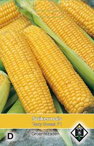 Van hemert co Suikermais Tasty Sweet F1 - 