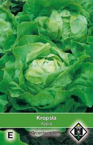Van hemert co Kropsla Appia - 