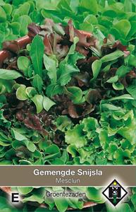 Van hemert co Gemengde snijsla Mesclun - 