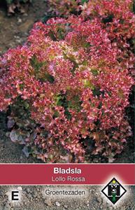 Van hemert co Bladsla Lollo Rossa - 