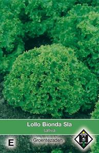 Van hemert co Lollo Bionda - 