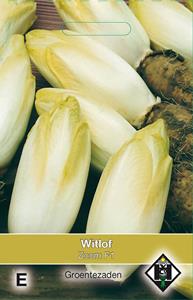 Van hemert co Witlof Zoom F1 - 