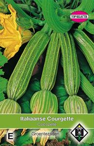 Van hemert co Courgette Cocozelle - 