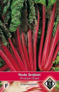 Van hemert co Snijbiet Rhubarb Chard - 