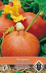 Van hemert co Pompoen Oranje Hokkaido - 
