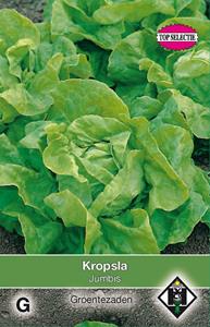 Van hemert co Kropsla Jumbis - 
