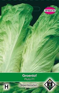 Van hemert co Groenlof Jupiter F1 - 