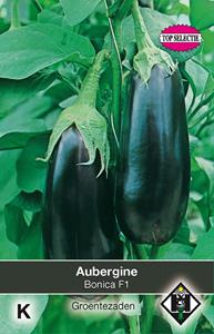 Van hemert co Aubergine Bonica F1 - 
