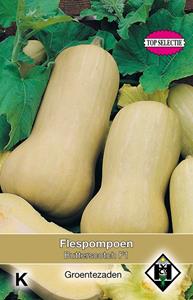 Van hemert co Flespompoen, Cucurbita moschata Butterscotch F1 - 