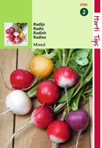 Hortitops Radijs Ronde Gemengd - 