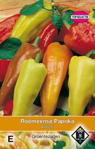 Van hemert co Roemeense Paprika Amy - 