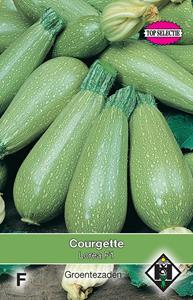 Van hemert co Courgette Lorea F1 - 