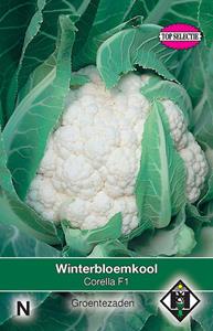 Van hemert co Winterbloemkool Corella F1 - 