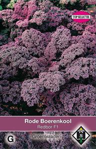Van hemert co Rode boerenkool Red Bor F1 - 