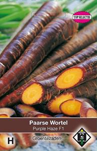 Van hemert co Paarse Wortel Purple Haze - 