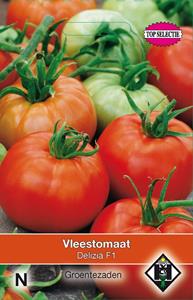 Van hemert co Vleesttomaat Delizia F1 - 