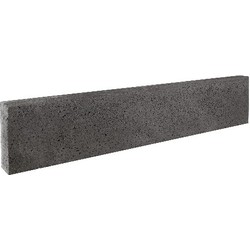 Gardenlux 3 stuks! Oud hollands gew. antra 7h20x100 cm - 