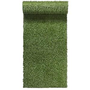 Leen Bakker Kunstgras Brest 2 - groen - 400 cm