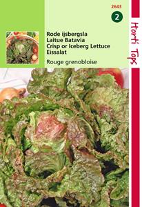 Hortitops Kropsla Rouge Grenobloise - 