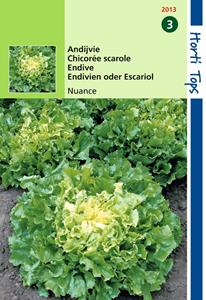 Hortitops Andijvie Nuance - 