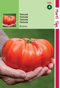Hortitops HT Tomaat Brutus - 