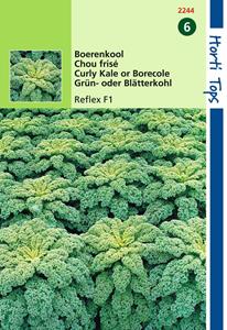 Hortitops Boerenkool Reflex F1 - 