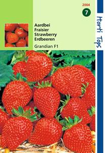 Hortitops Aardbeien Sarian F1 - 
