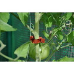 Royal well 6 stuks! Tomato Clips / Clips a tomates 20 X - 