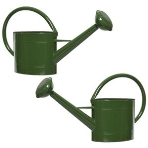 Decoris Set van 2x stuks donkergroene zinken tuinbewatering/kamerplanten gieters 5 liter -