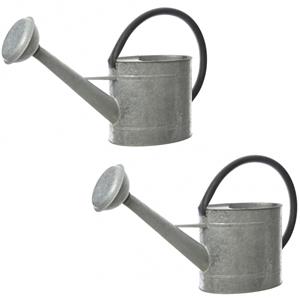 Decoris Set van 2x stuks grijze tuinbewatering/decoratie gieters van zink 10 liter -