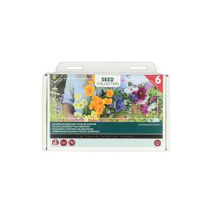 Buzzy Collection Kweekset 6 Kleurrijke Bloemen Voor De Starter 1 set